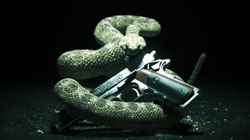 Hitman-Absolution-zapowiedz-small